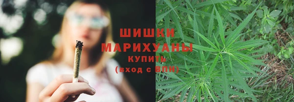 ПСИЛОЦИБИНОВЫЕ ГРИБЫ Елизово