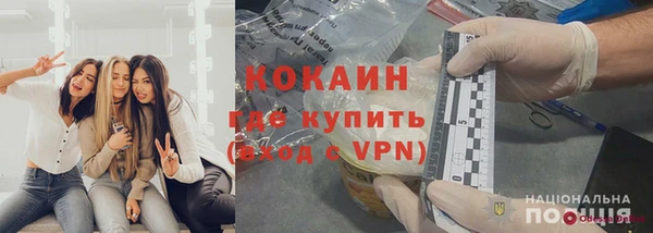 ПСИЛОЦИБИНОВЫЕ ГРИБЫ Елизово