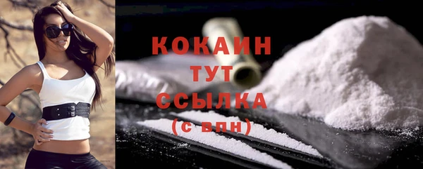ПСИЛОЦИБИНОВЫЕ ГРИБЫ Елизово