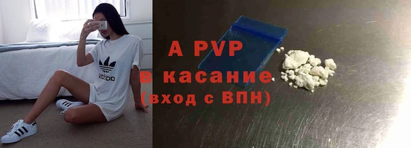 стафф Заводоуковск