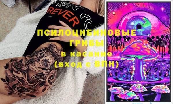 ПСИЛОЦИБИНОВЫЕ ГРИБЫ Елизово