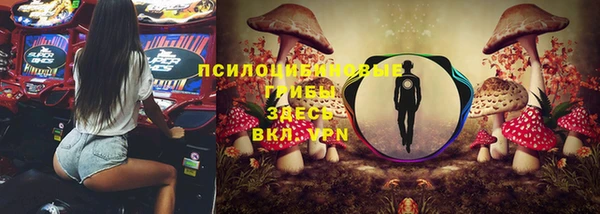 стафф Заводоуковск